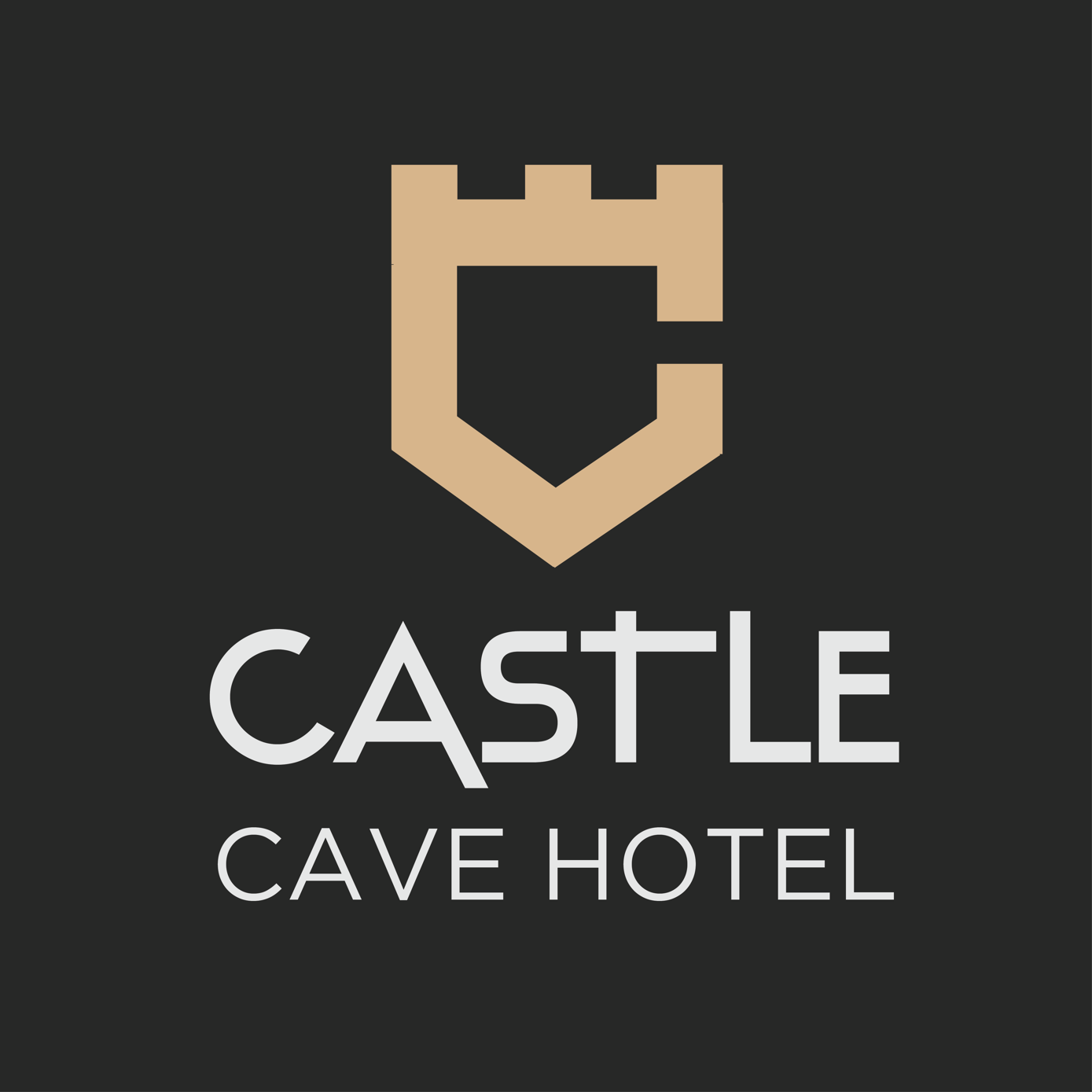 Rooftop by Castle