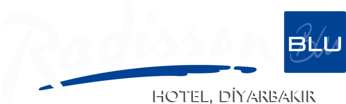 Radisson Blu Hotel