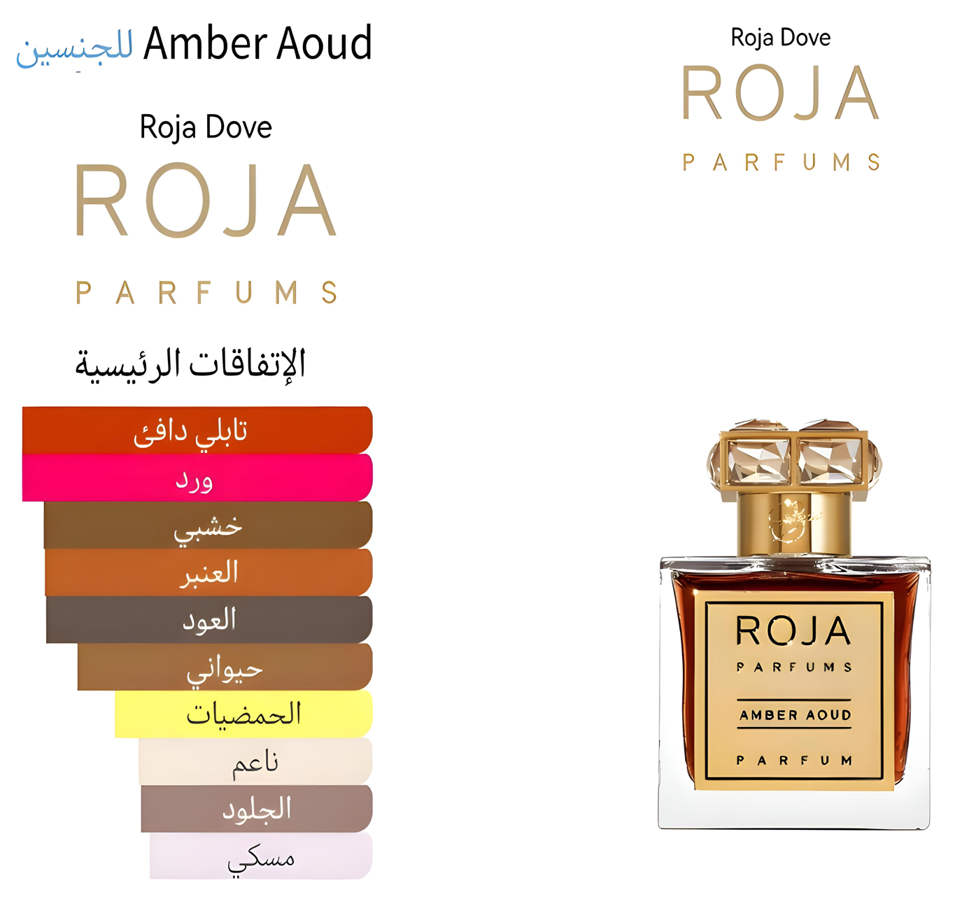 Amber Aoud - امبر عود