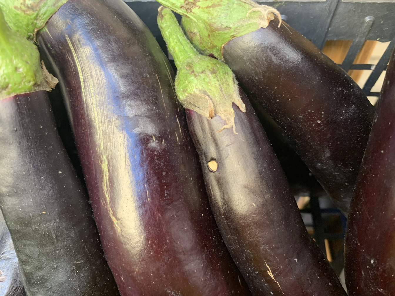 Eggplant - price per kilogram 