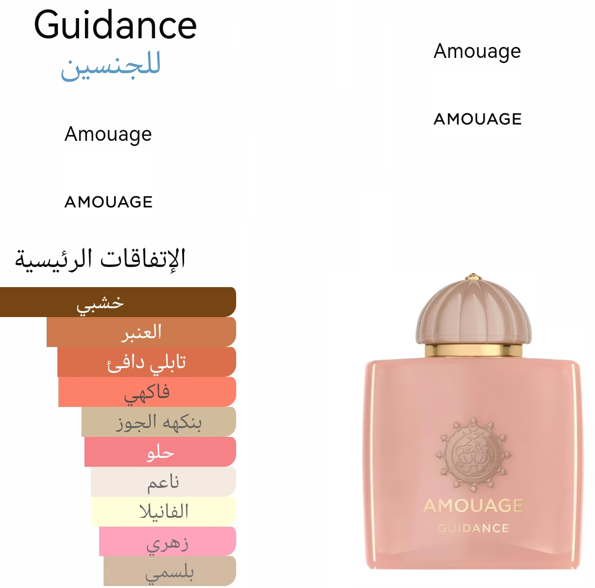 Guidance - غايدنس 