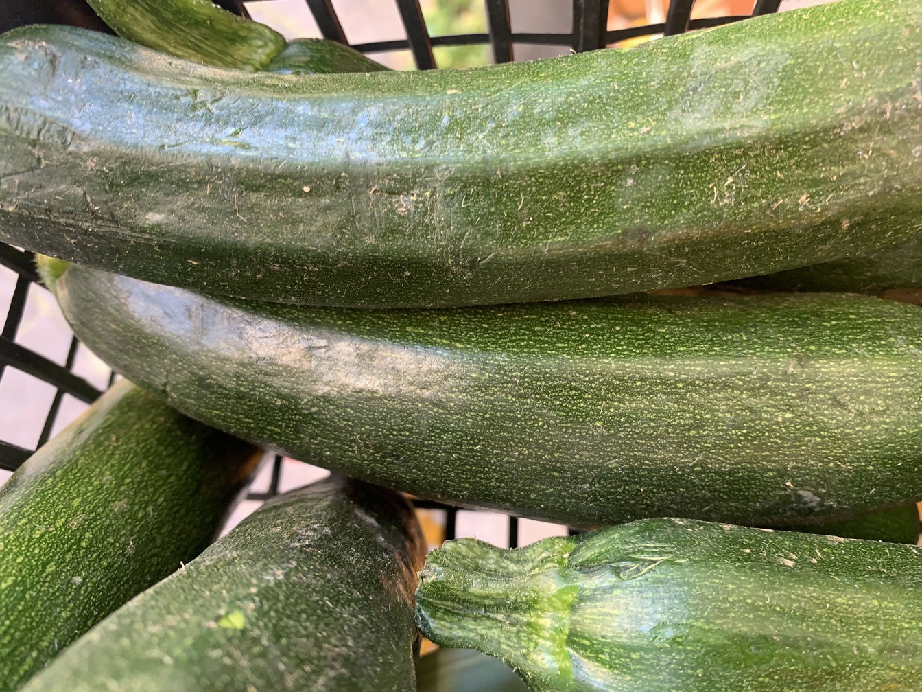 Zucchini - price per kilogram 