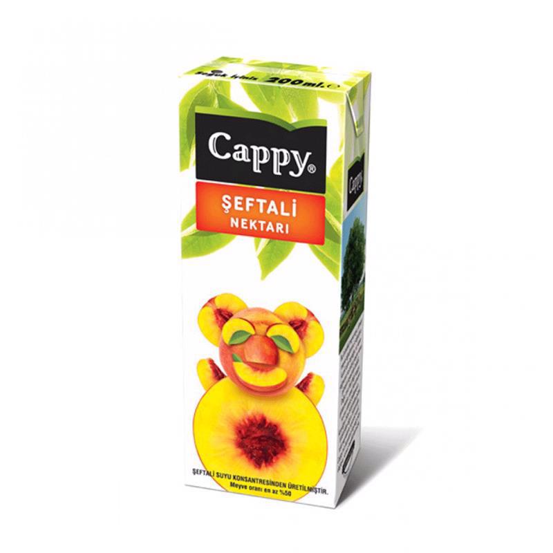 Cappy Meyvə Şirəsi (200) ml