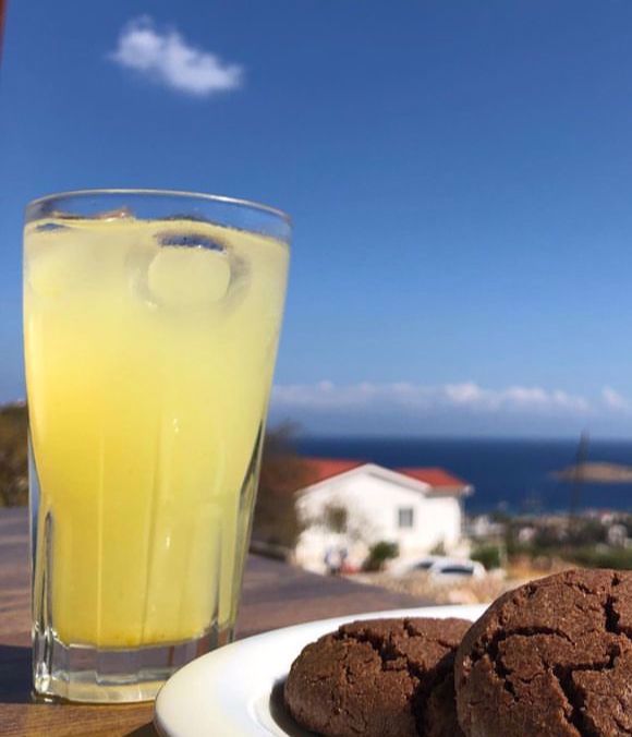 Limonata (Ev Yapımı)