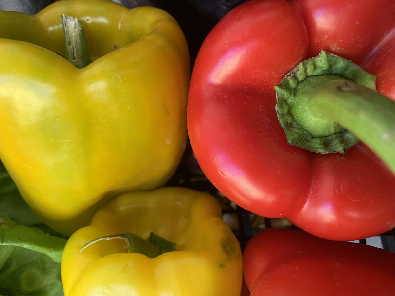 Bell Peppers - price per kilogram 