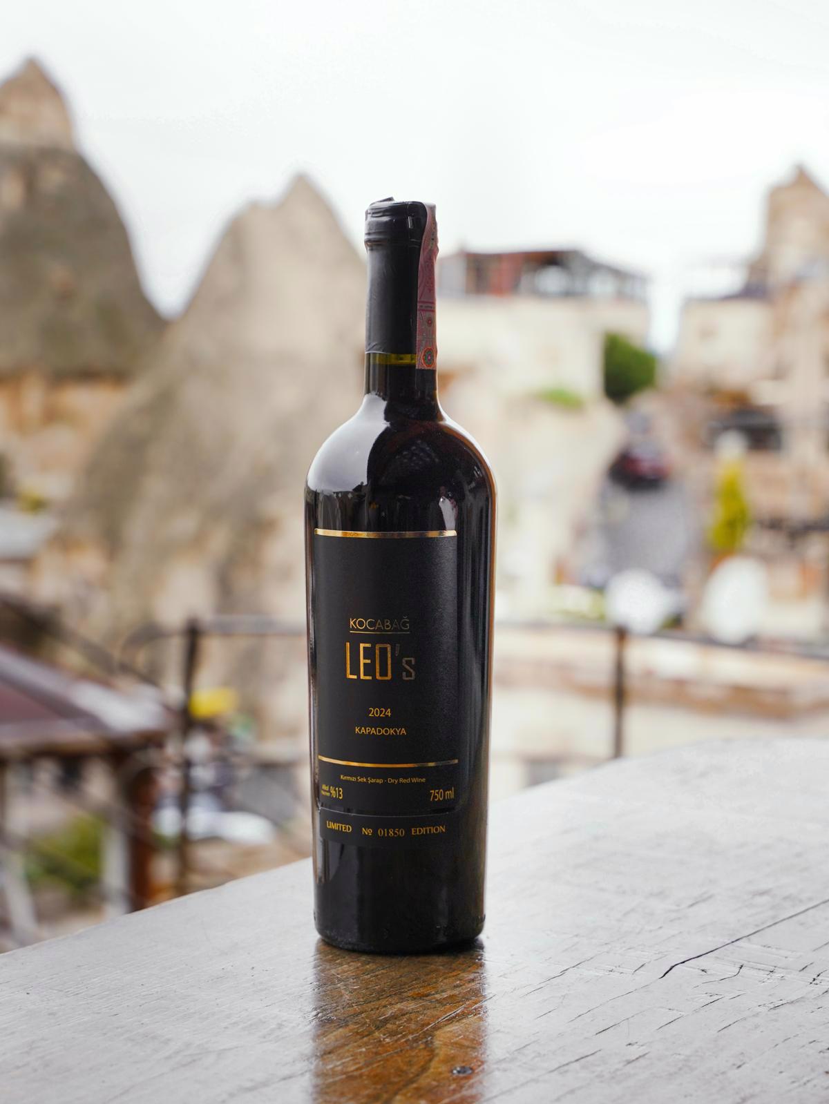 Kocabağ Leo's