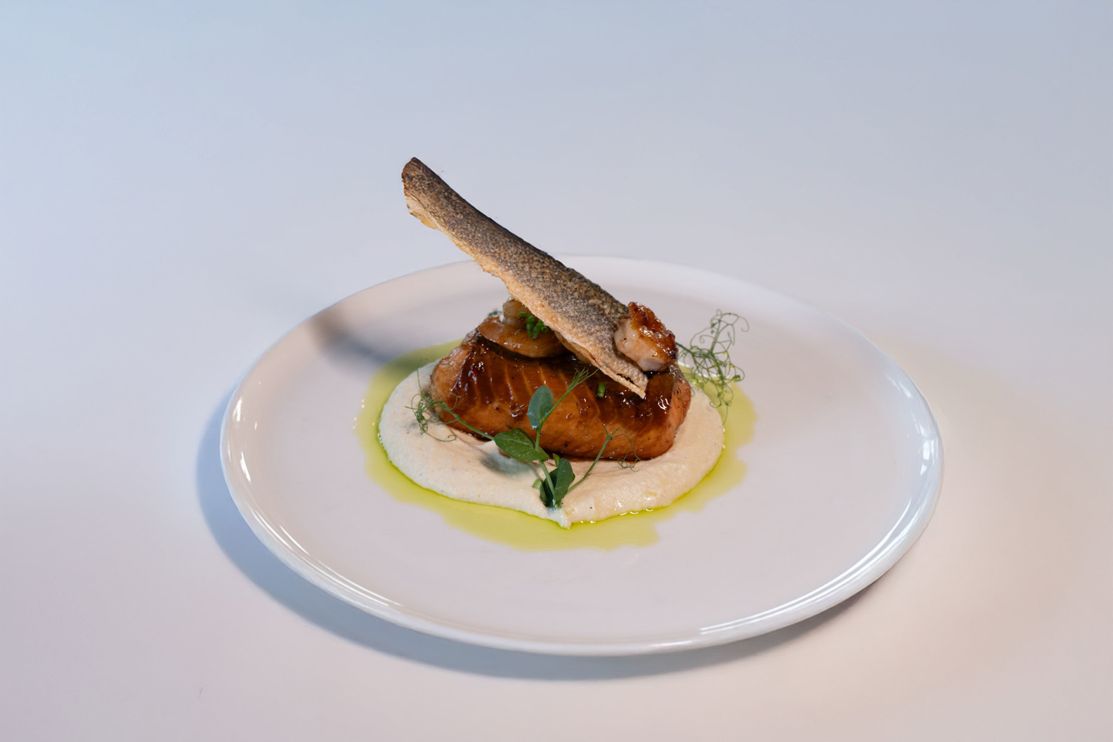 THE SIGNATURE OF THE SEA