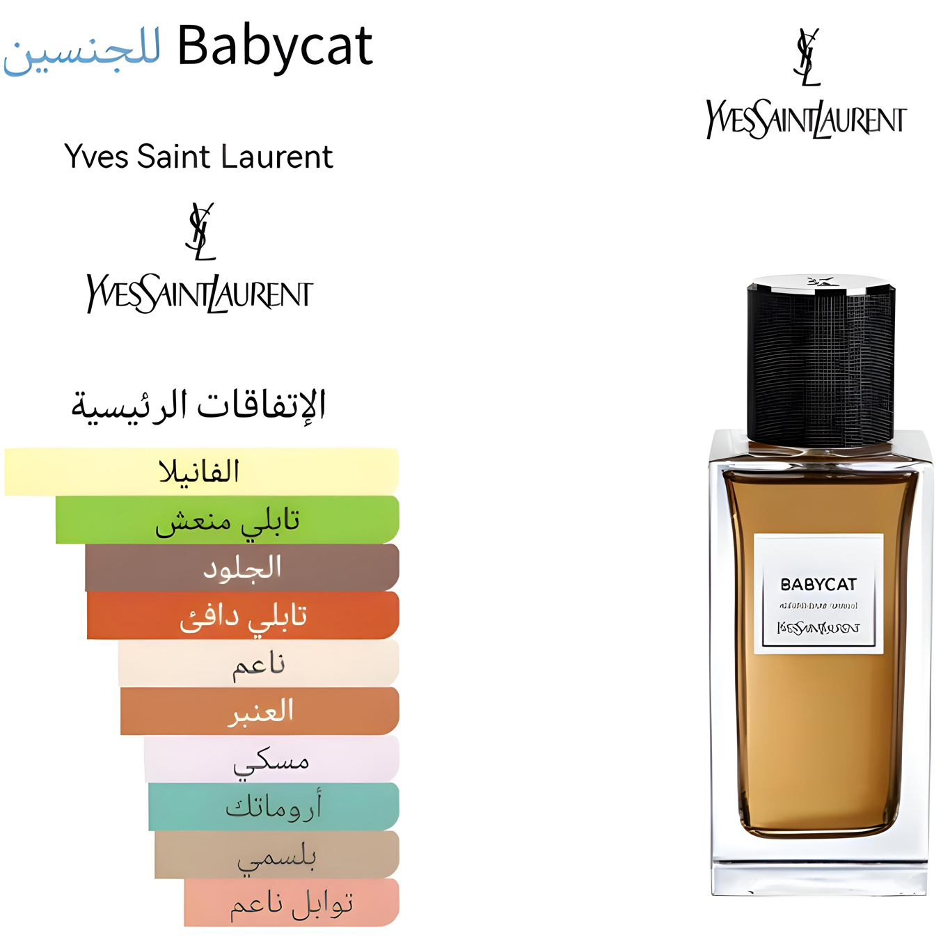 Babycat - بيبي كات