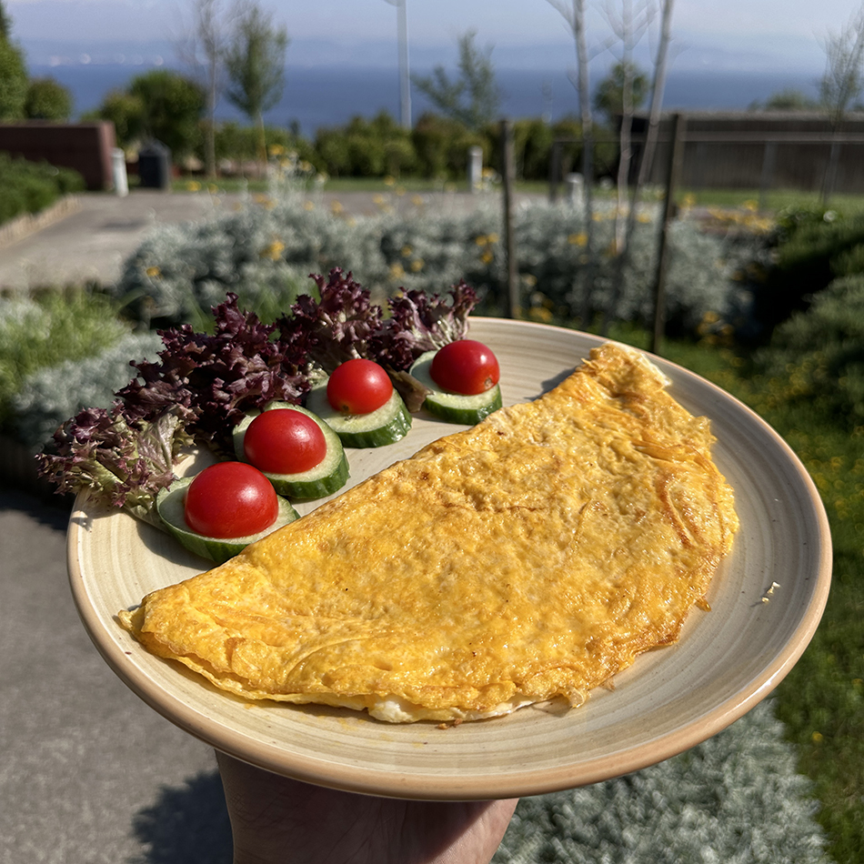 Omlet