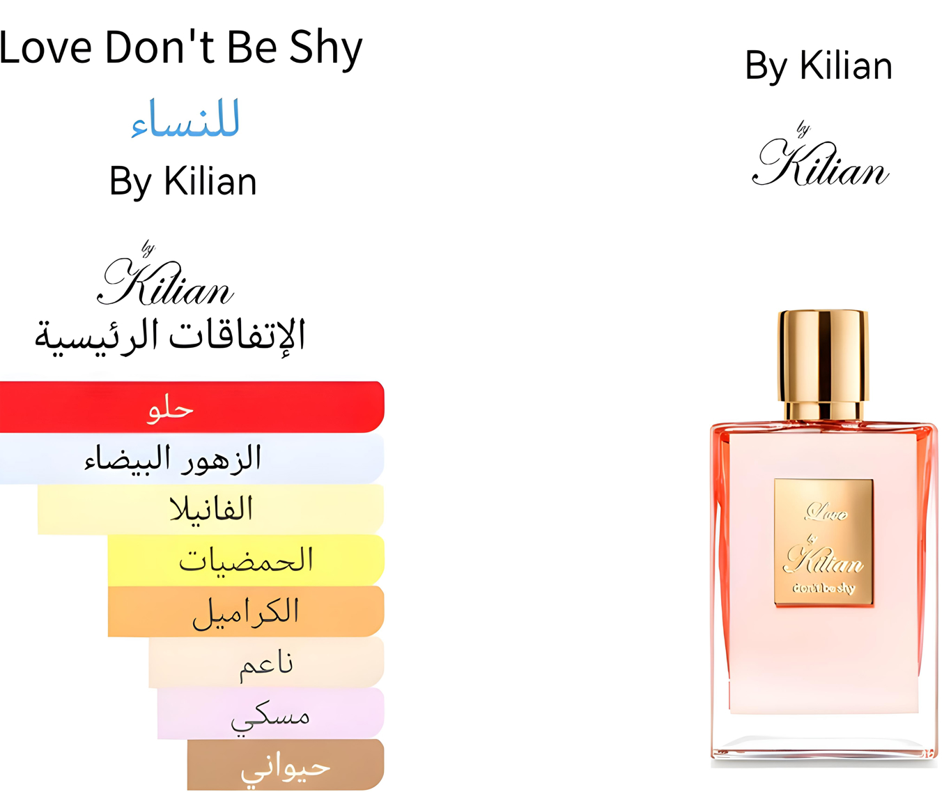 Love Don't Be Shy - لوف دونت بي شاي 