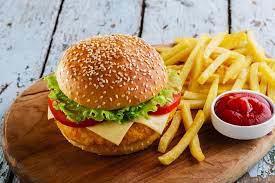 100 GR. TAVUK BURGER 
