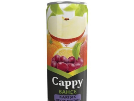 Cappy (Karışık, Vişne, Şeftali)