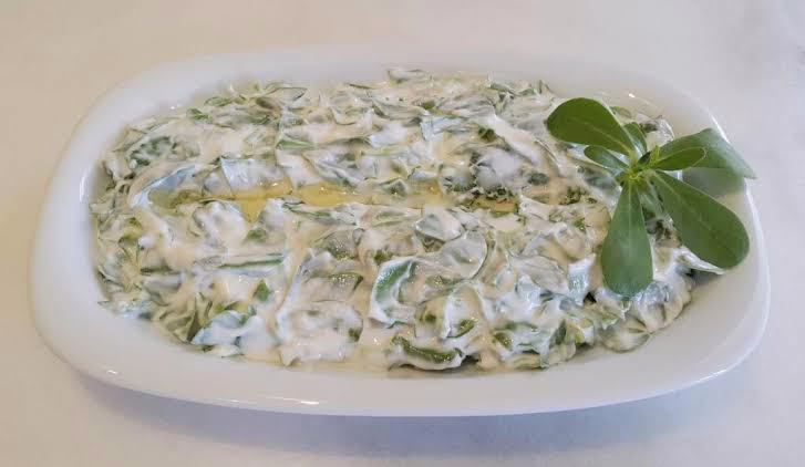 Yoğurtlu Semizotu Salatası