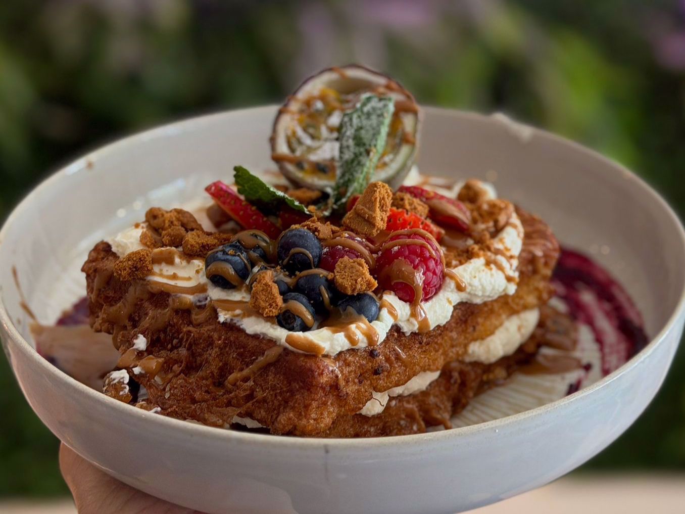 LOTUS VELVET TOAST