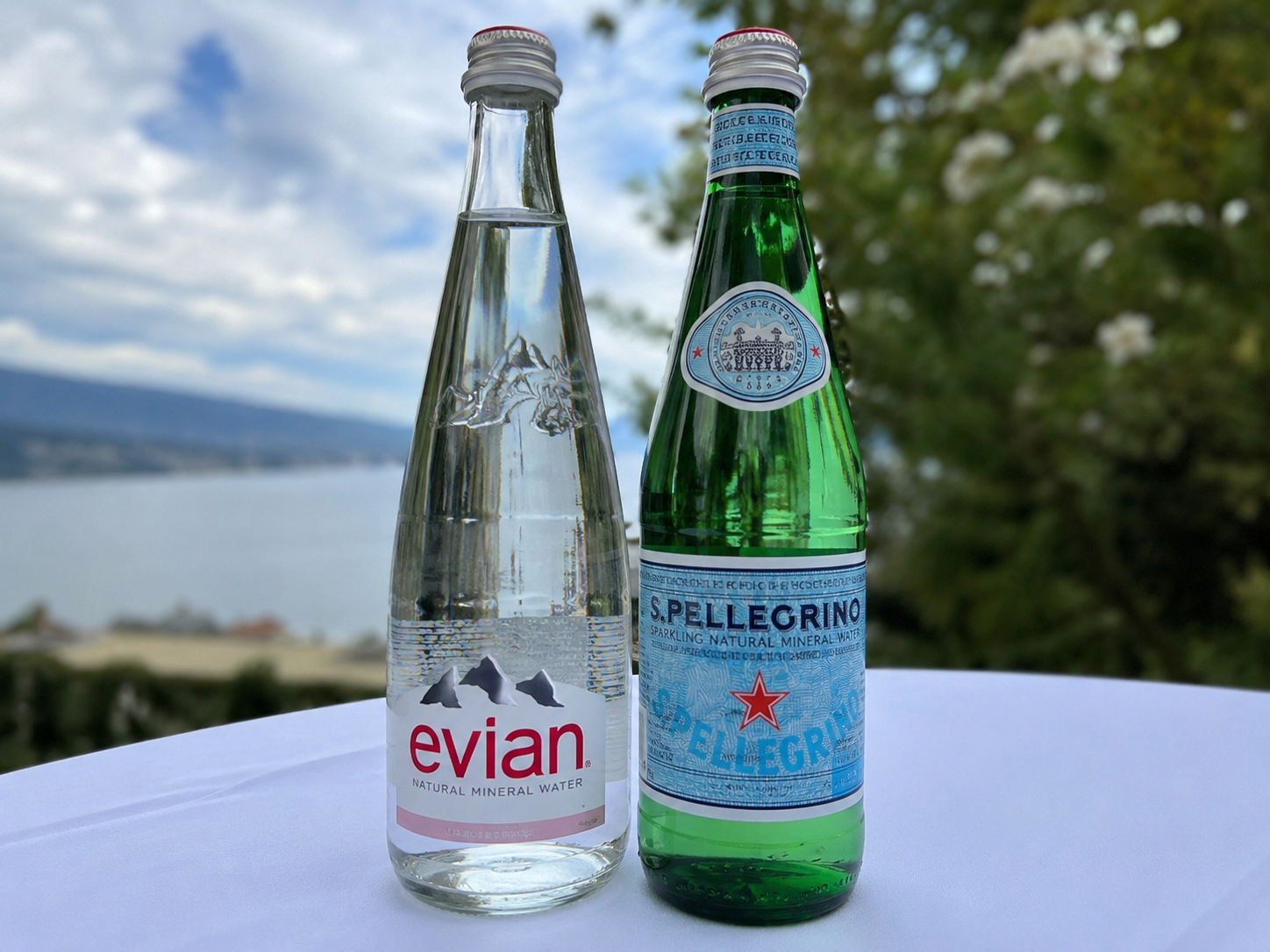 Evian 1 L. / S. Pellegrino 1 L.