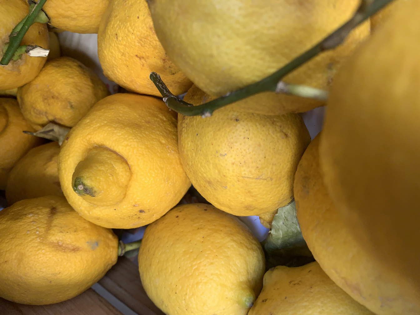 Lemons - price per kilogram 