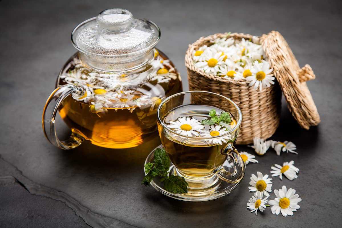 Papatya Çayı