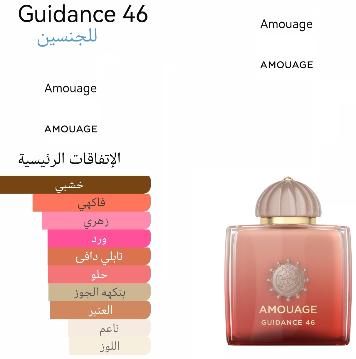 Guidance 46 - غايدنس ٤٦