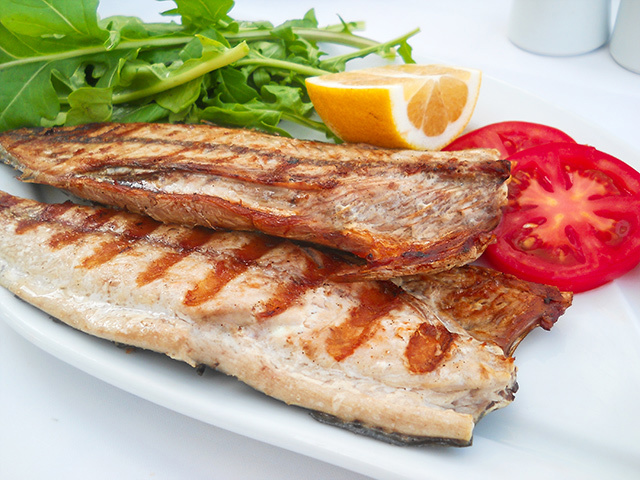 BONITO FISH