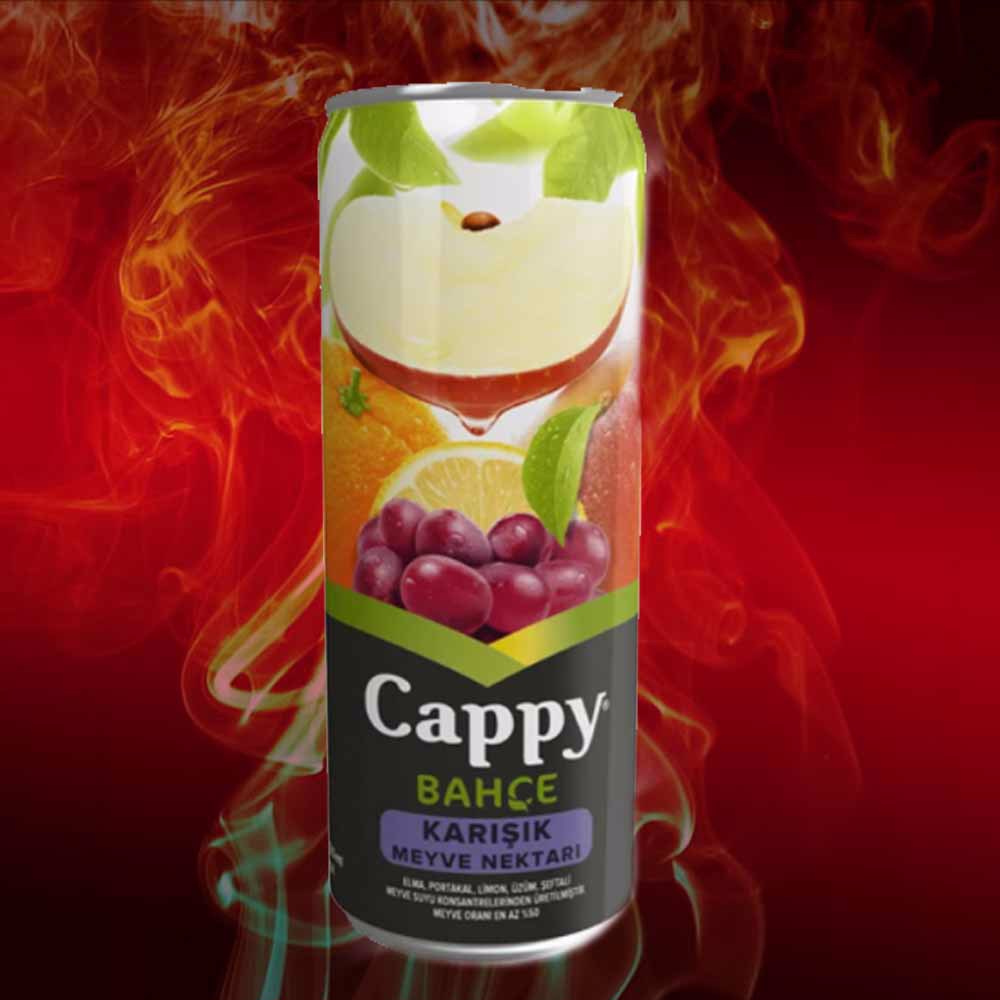 Cappy Karışık (33cl)