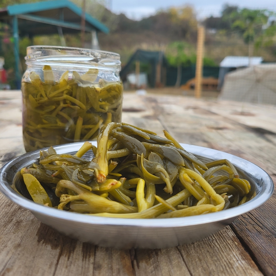 KAYA KORUGU