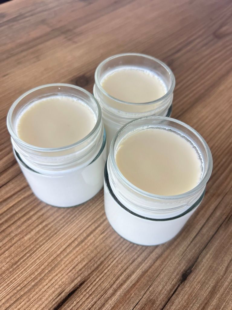 Ev Yapımı Katkısız Yoğurt (cam kavanoz)