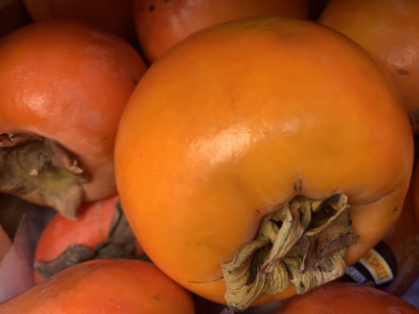 Persimmons - price per kilogram 