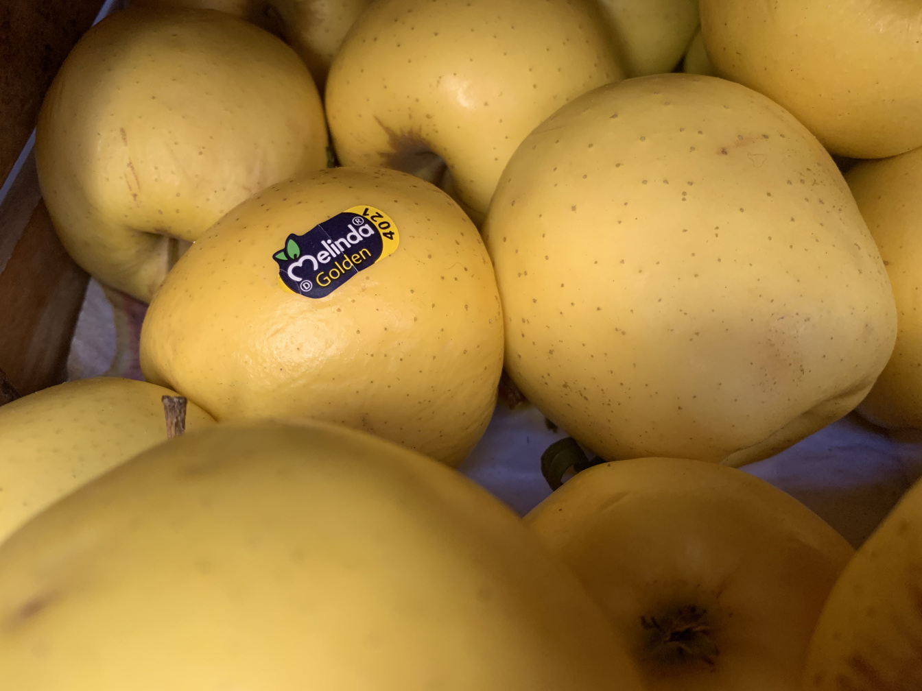Yellow Apples - price per kilogram 