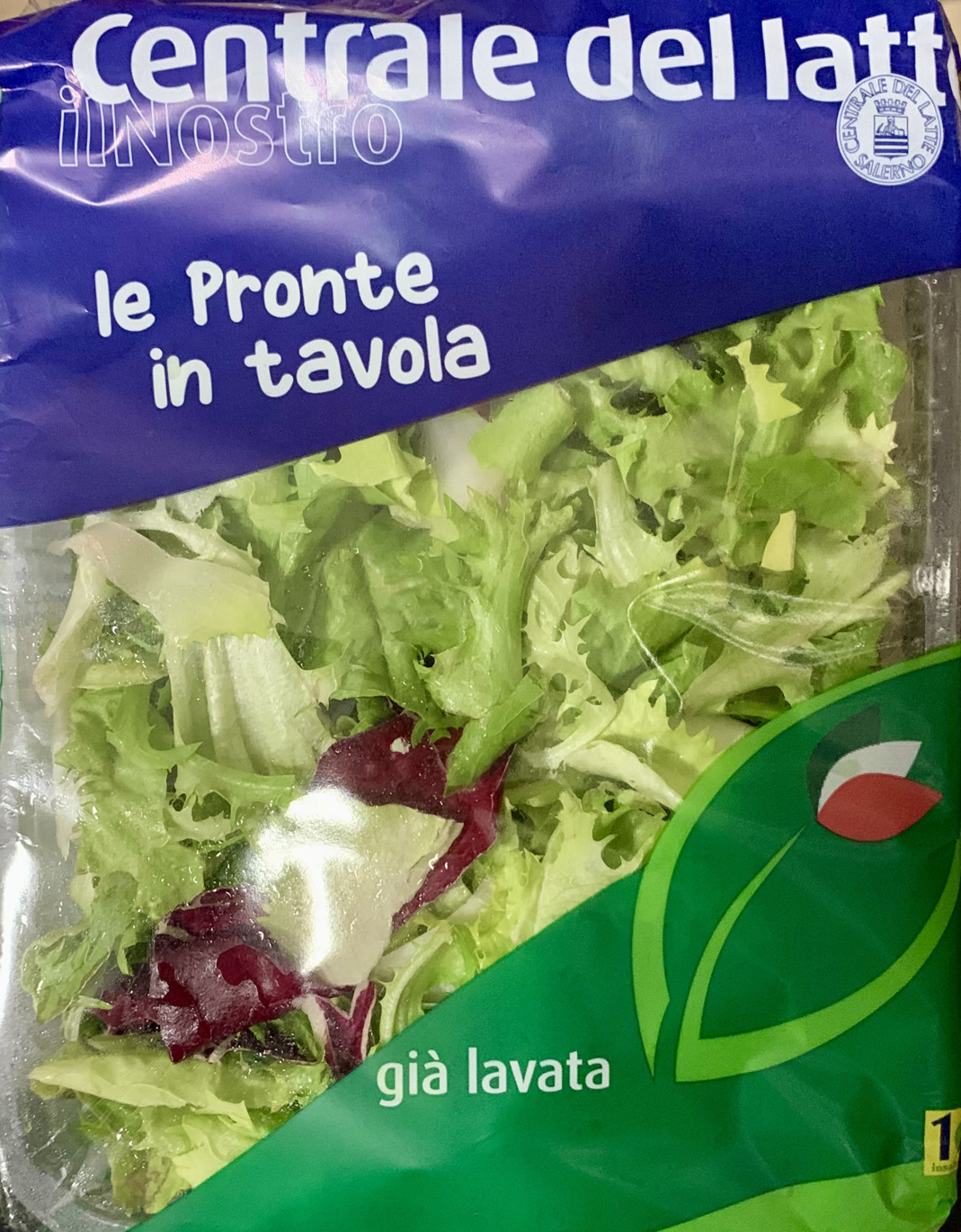 Mixed Salad