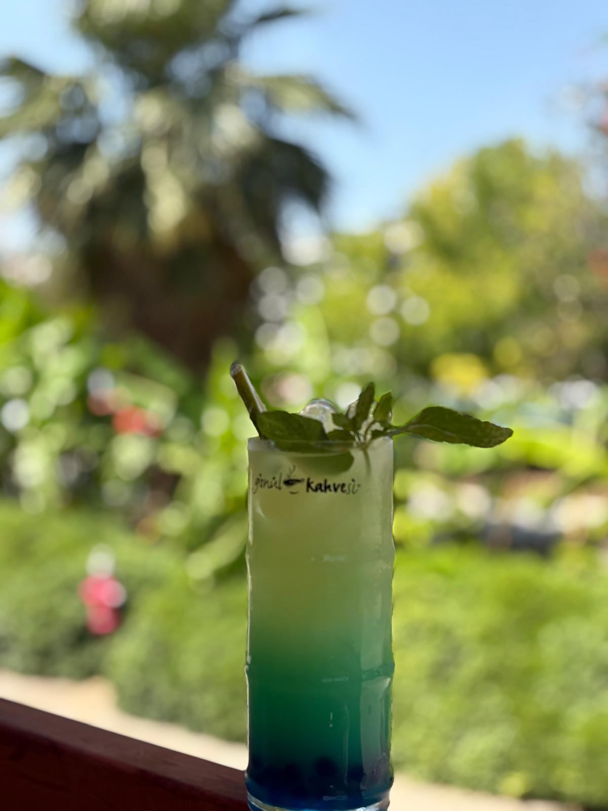 BlueBerry Bubble Lemonade 