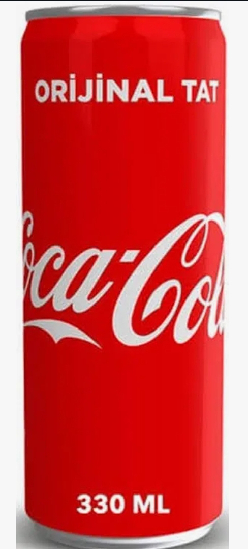 Coca Cola 330 ml kutu