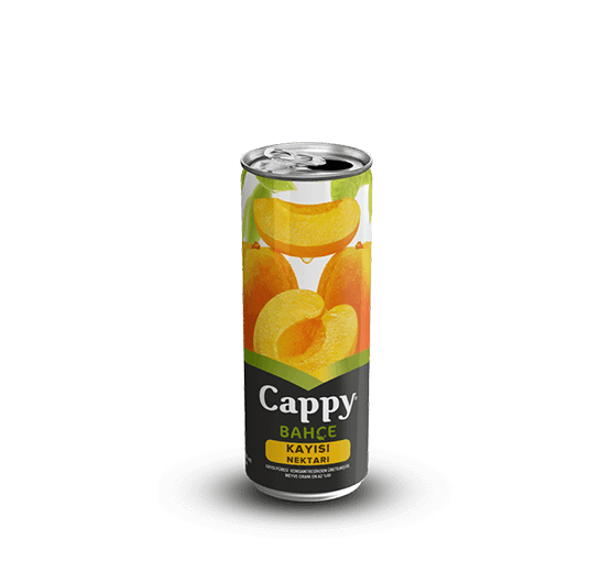Cappy Kayısı