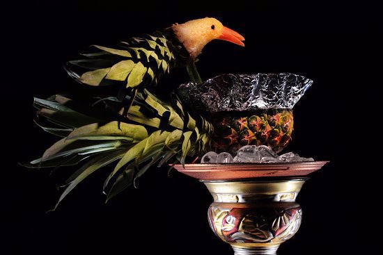 Antibiyotik Nargile ( Special )