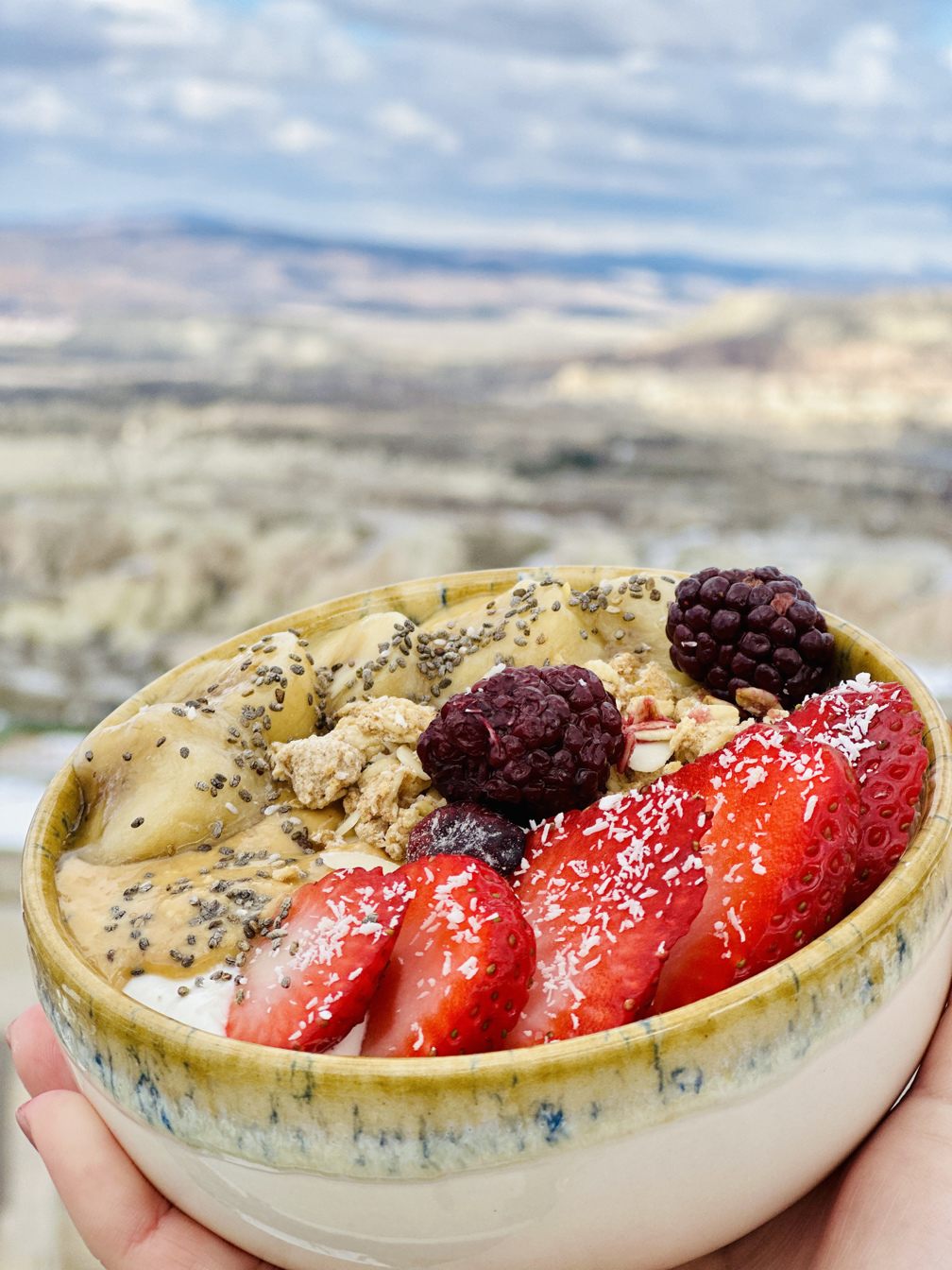 Granola Bowl