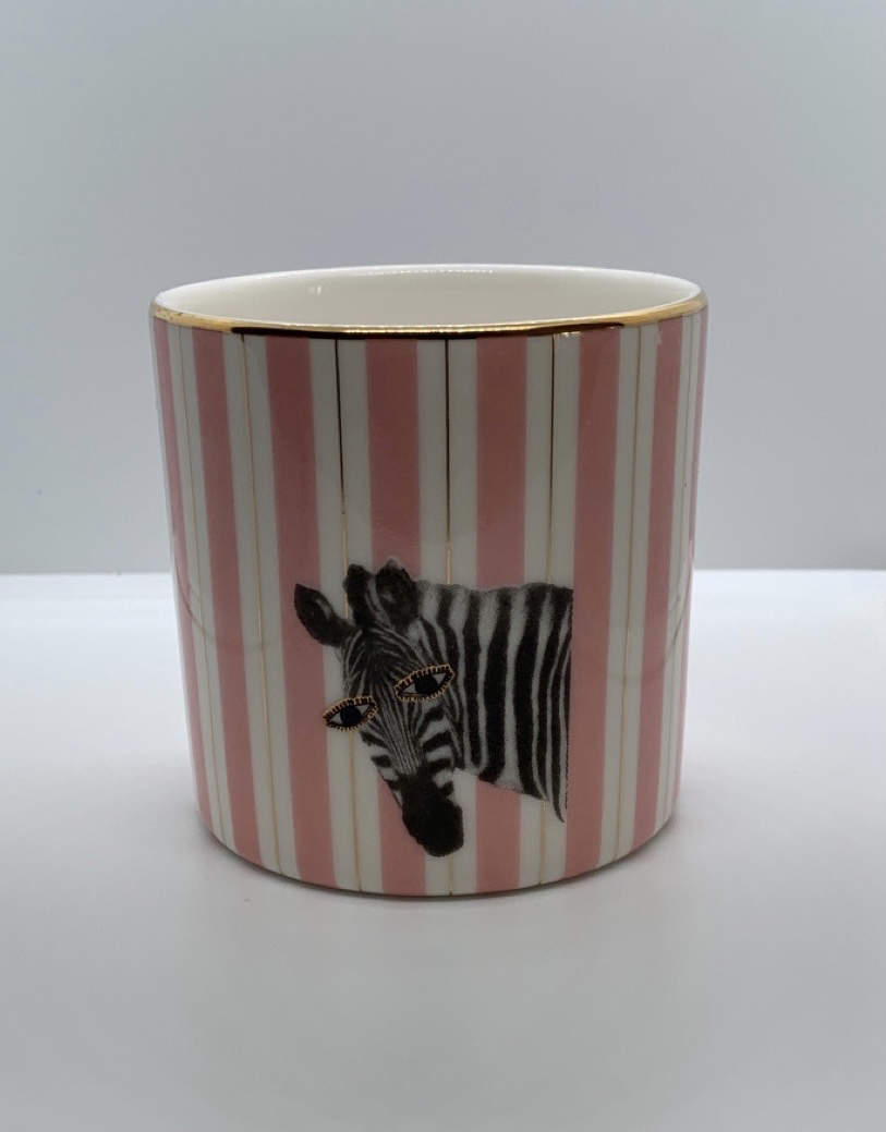 Porland Zebra