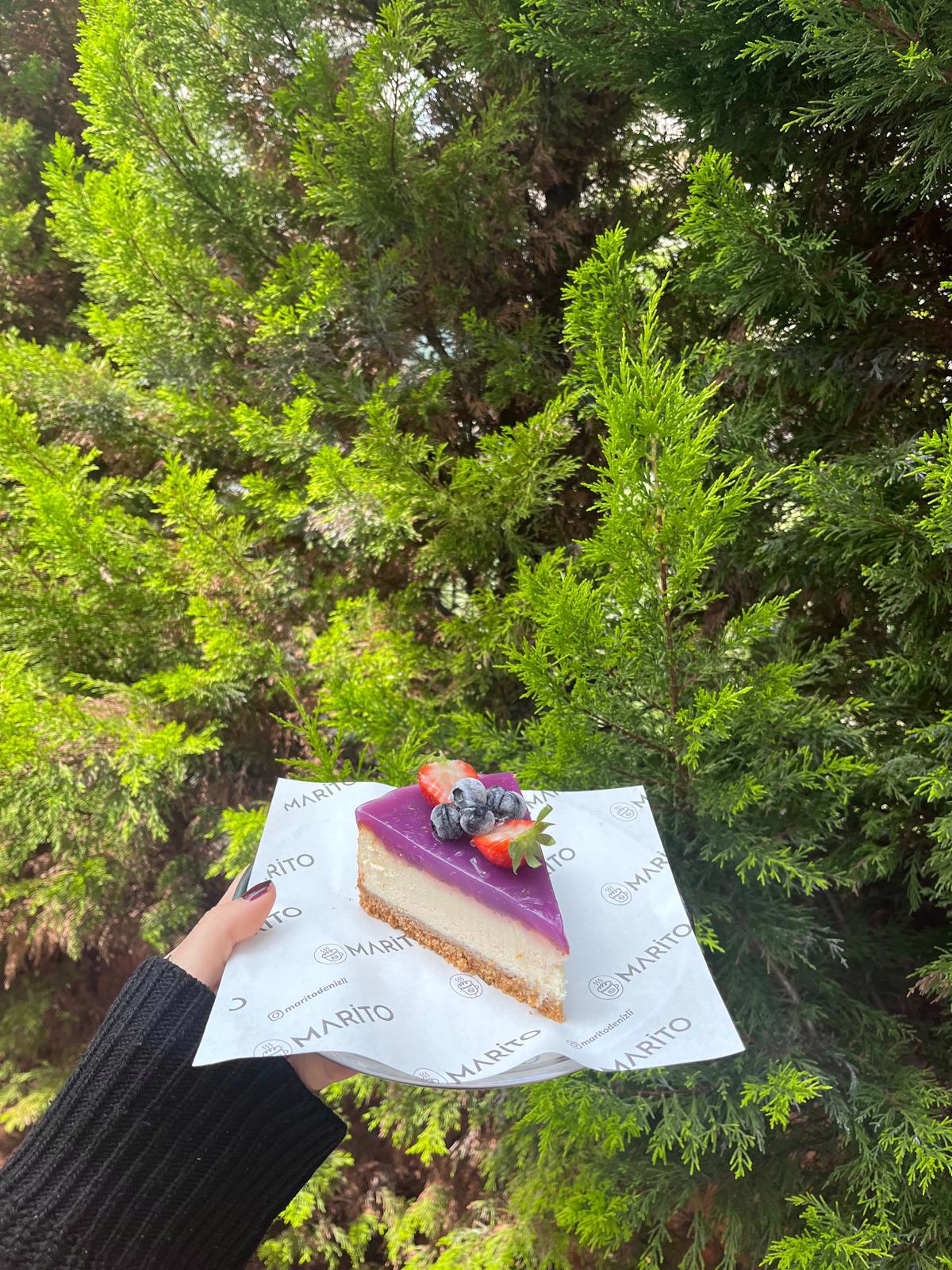 Yaban Mersinli Cheesecake 