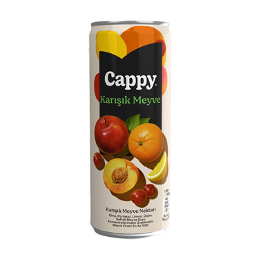 CAPPY KARIŞIK (300ML)