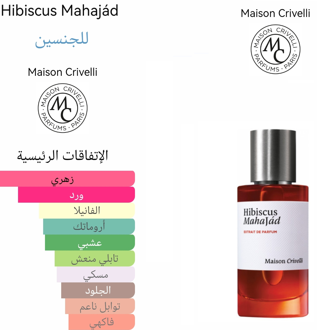 Hibiscus Mahajad - هبسكس مهاجاد 