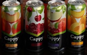 CAPPY-SAFT
