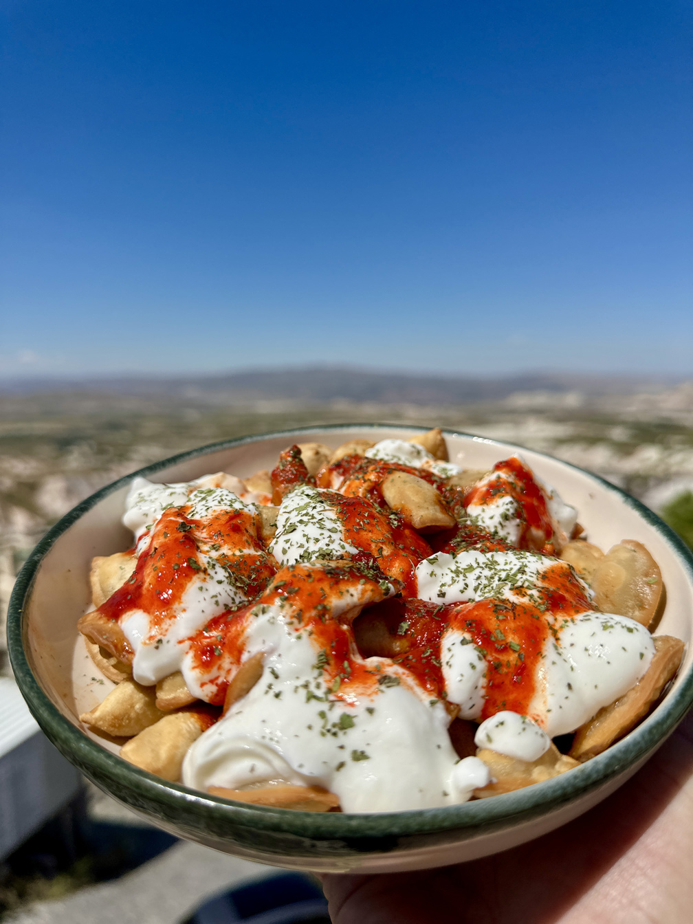 Crispy Turkish Dumplings