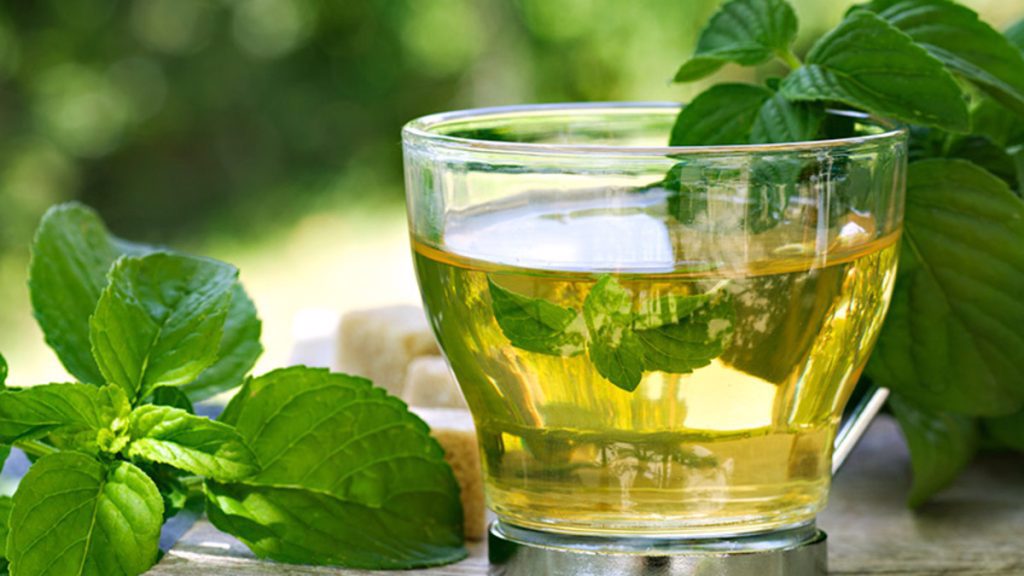 Eucalyptus Tea