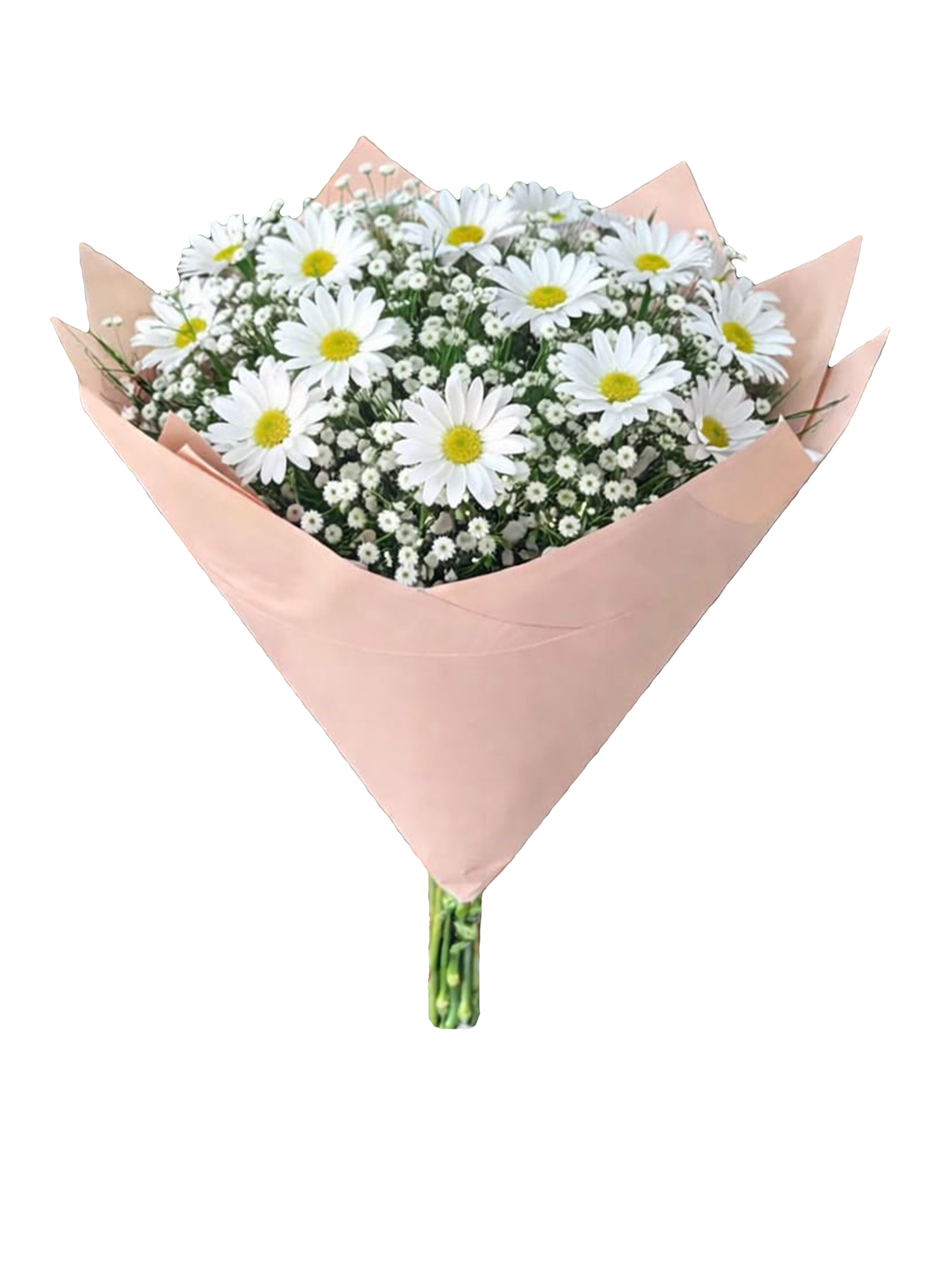 DAISY BOUQUET