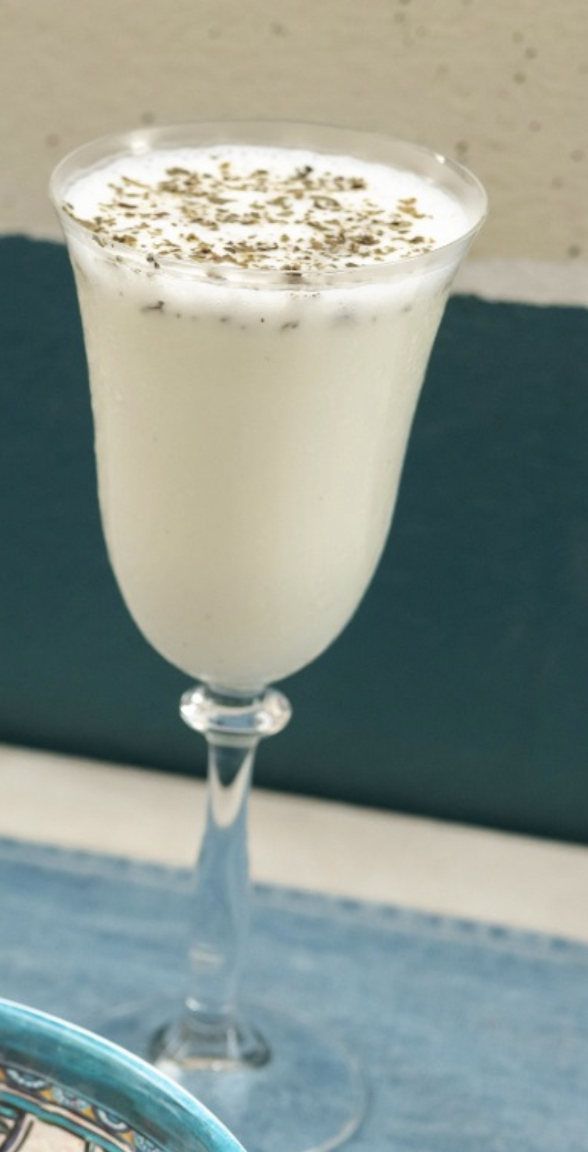 Ev Yapımı Fesleğenli/Sade Ayran