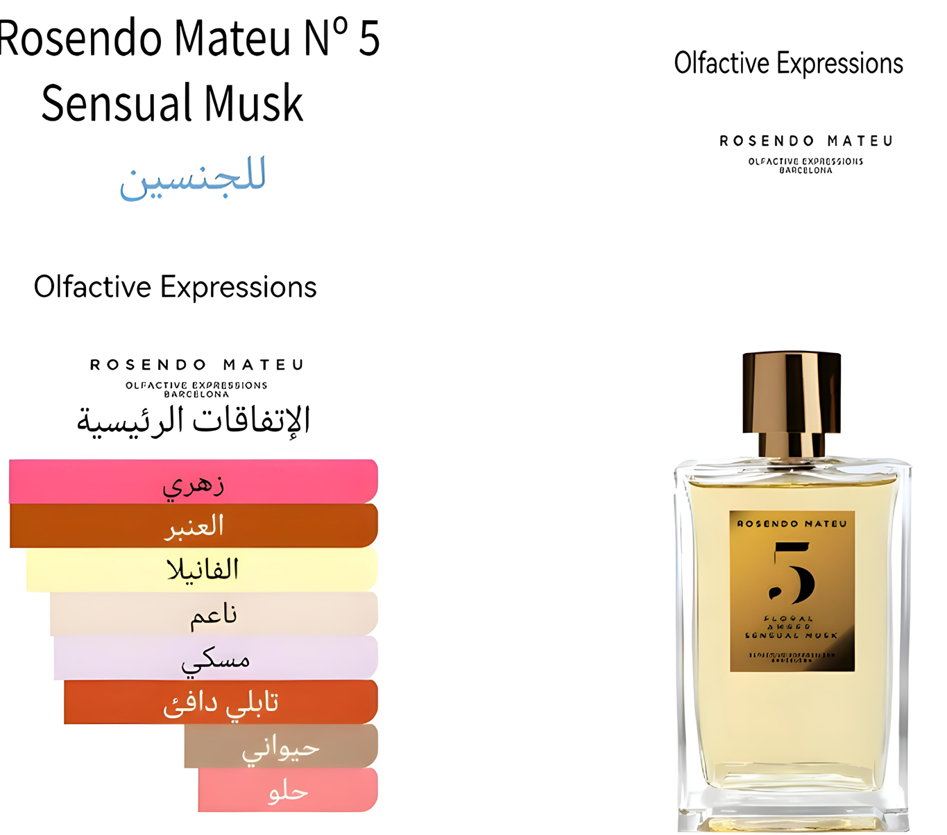 ROSENDO MATEU n°5 - روزيندو ماتيو رقم ٥