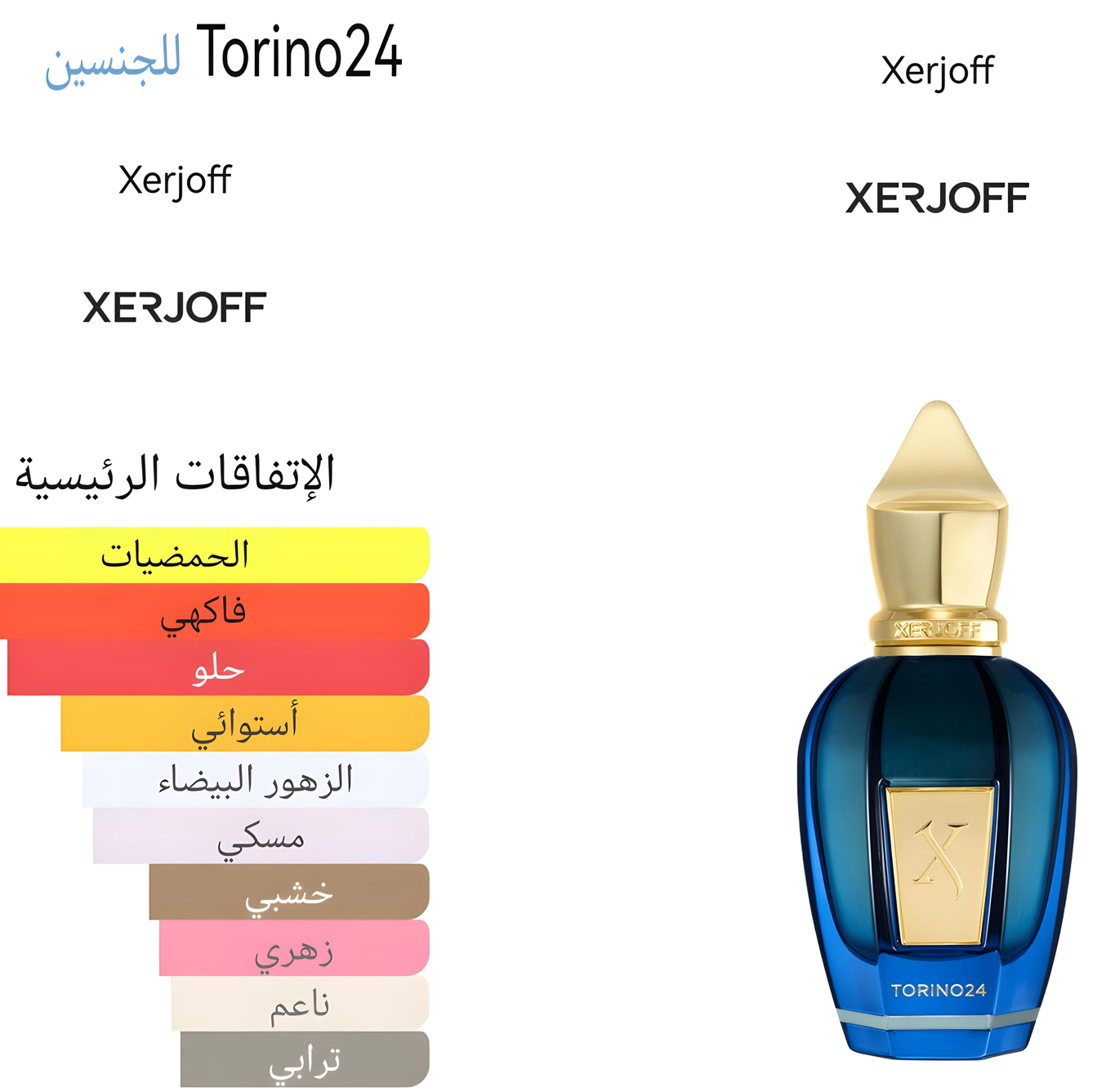 Torino 24 - تورينو ٢٤