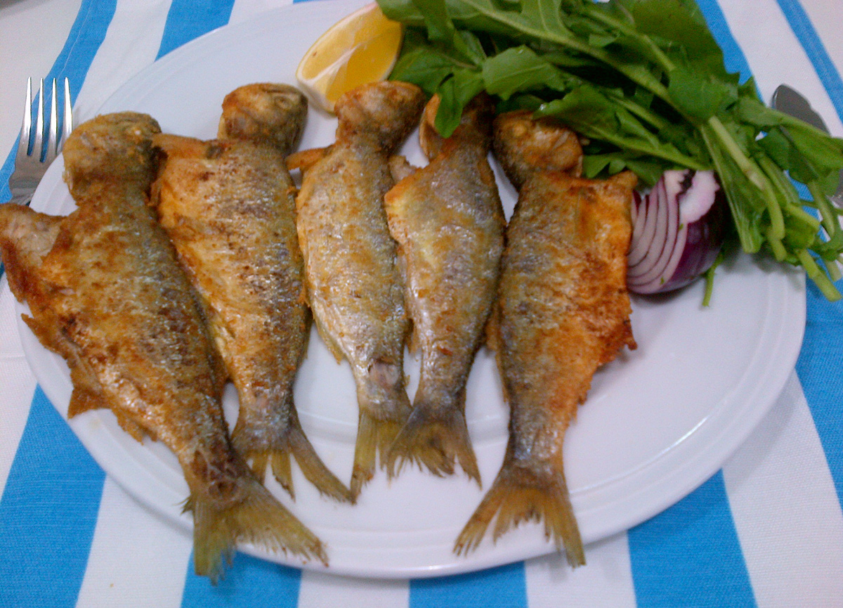 ÇİNEKOP