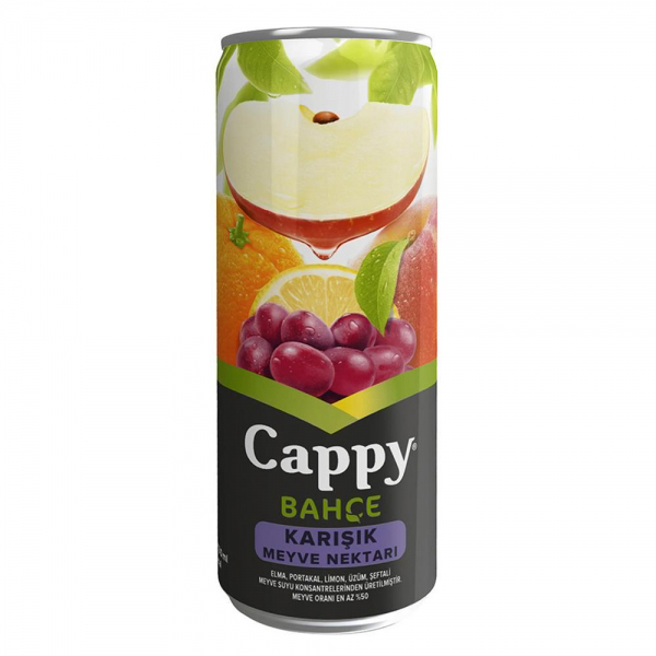 CAPPY KARIŞIK