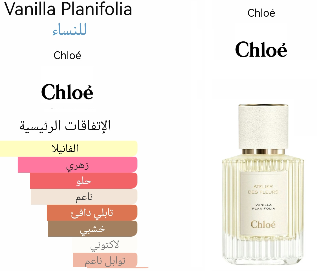 Vanilla Planifolia - فانيلا بلانفوليا