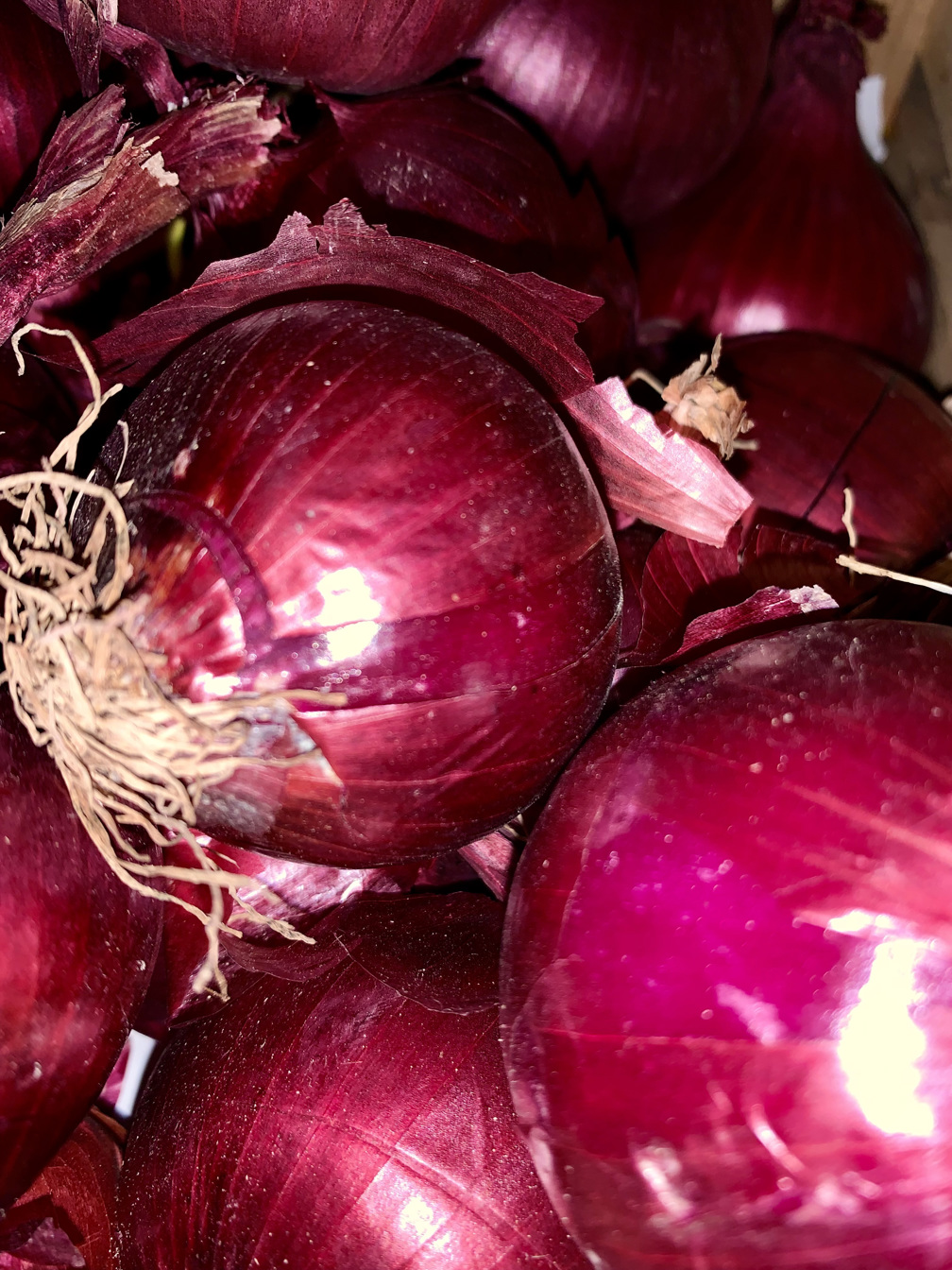 Red Onions - price per kilogram 