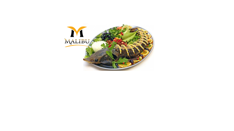 Nərə balığı (Beluqa)